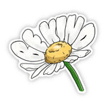 The Be Kind Daisy Sticker on a white background. The design is a daisy flower with it's petals shaped into the words 'BE KIND'.